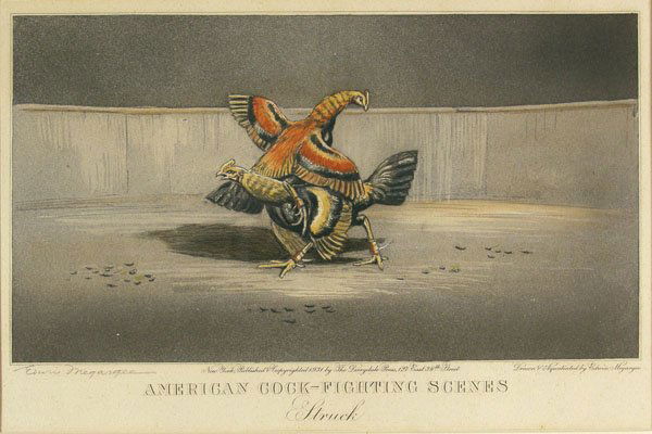 EDWIN MEGARGEE (American) Etching with aquatint: Edwin Megargee (American, 1883 - 1958) American Cock Fighting Scenes: Struck. Etching with aquatint. 1931. Signed in pencil, lower left. Fine impression. 6 1/8 x 11 in. (156 x 279 mm). Apparently in f