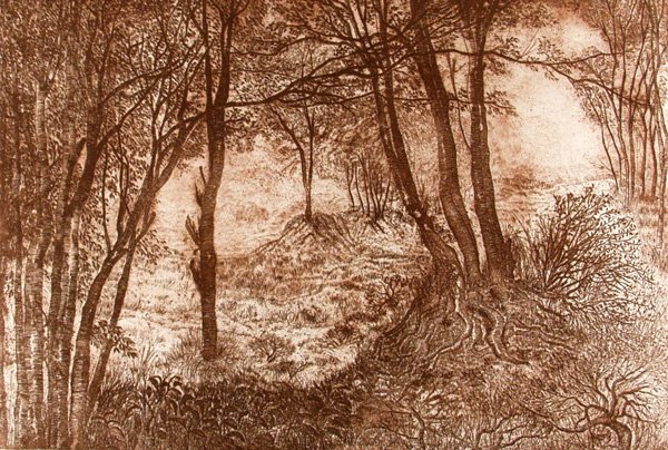 DIAZ INFANTE (Mexican) Color etching