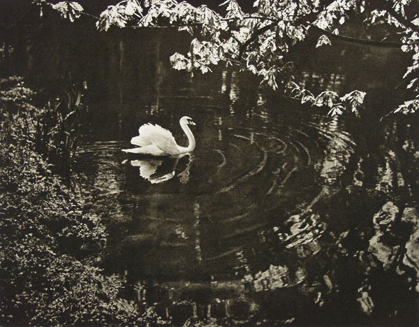 ADOLF FASSBENDER (German/American) Vintage photog