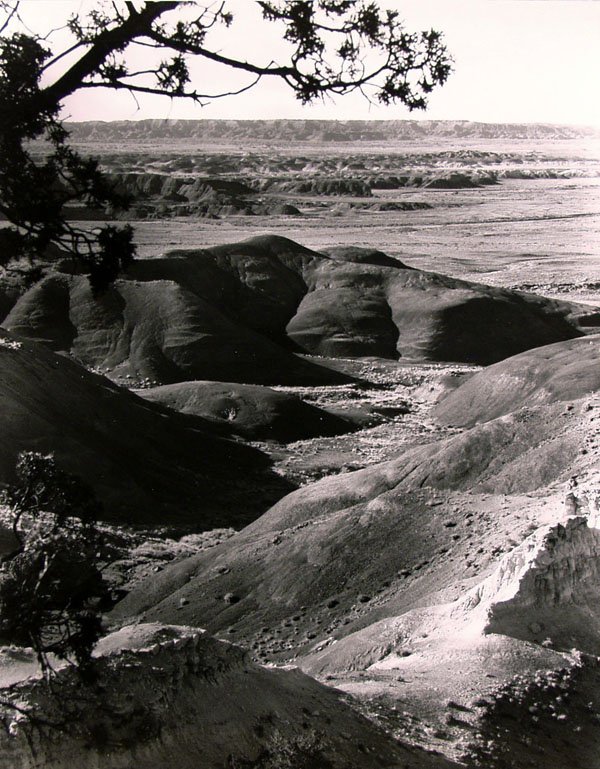 HARRY VROMAN (American) Vintage gelatin silver pr