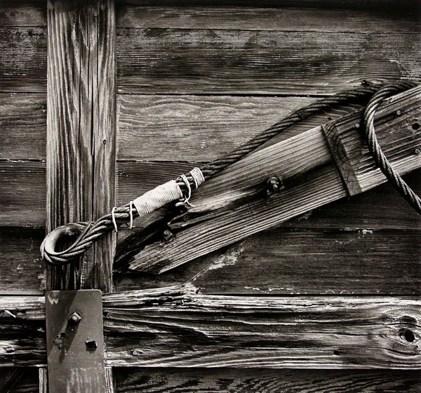 TODD WALKER (American) Silver gelatin print