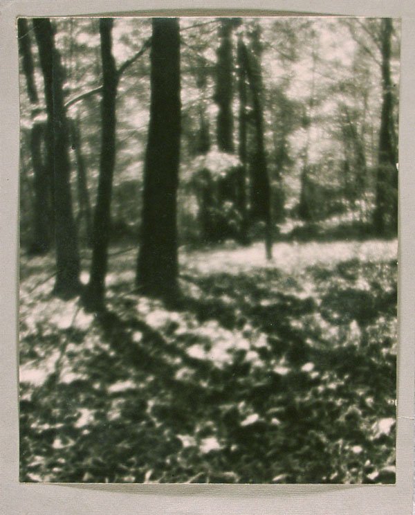 C. A. WEDDIGEN (American) Vintage bromide print
