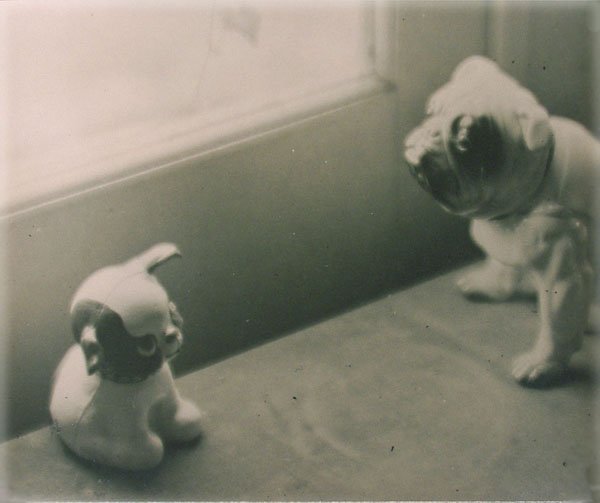 C. A. WEDDIGEN (American) Vintage bromide print