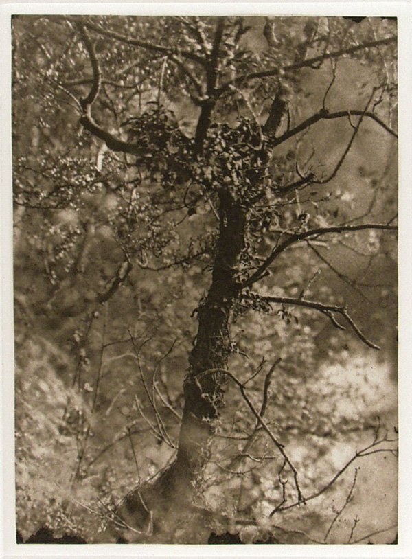 PORTFOLIO 16 Photogravures - 5