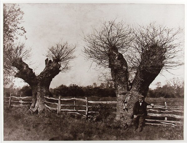 PORTFOLIO 16 Photogravures - 6