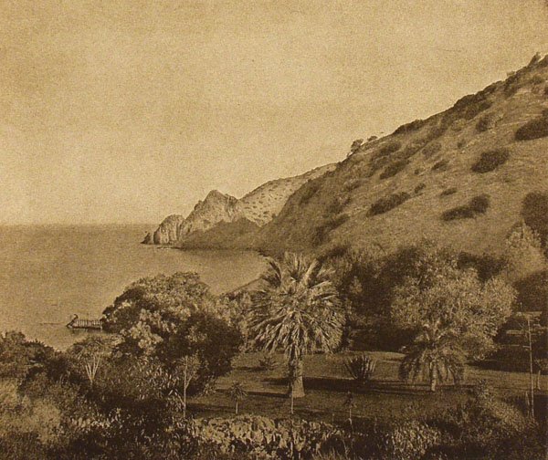 FREDERICK W. MARTIN Vintage gravure