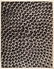 1156: KARL BLOSSFELDT (German) Vintage photogravure