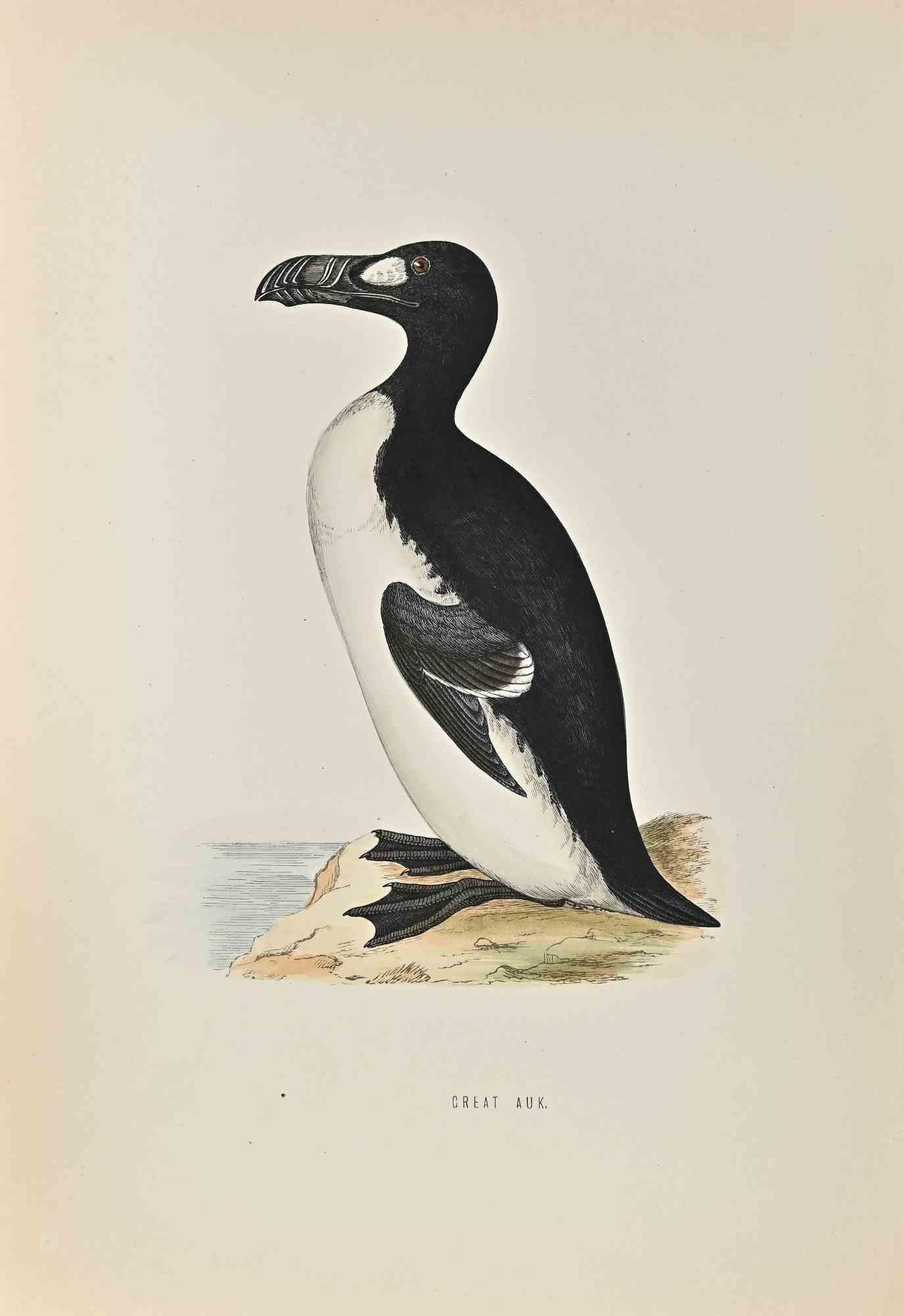 Alexander Francis Lydon, Great Auk, Woodcut Print, 1870 (1 of 1)