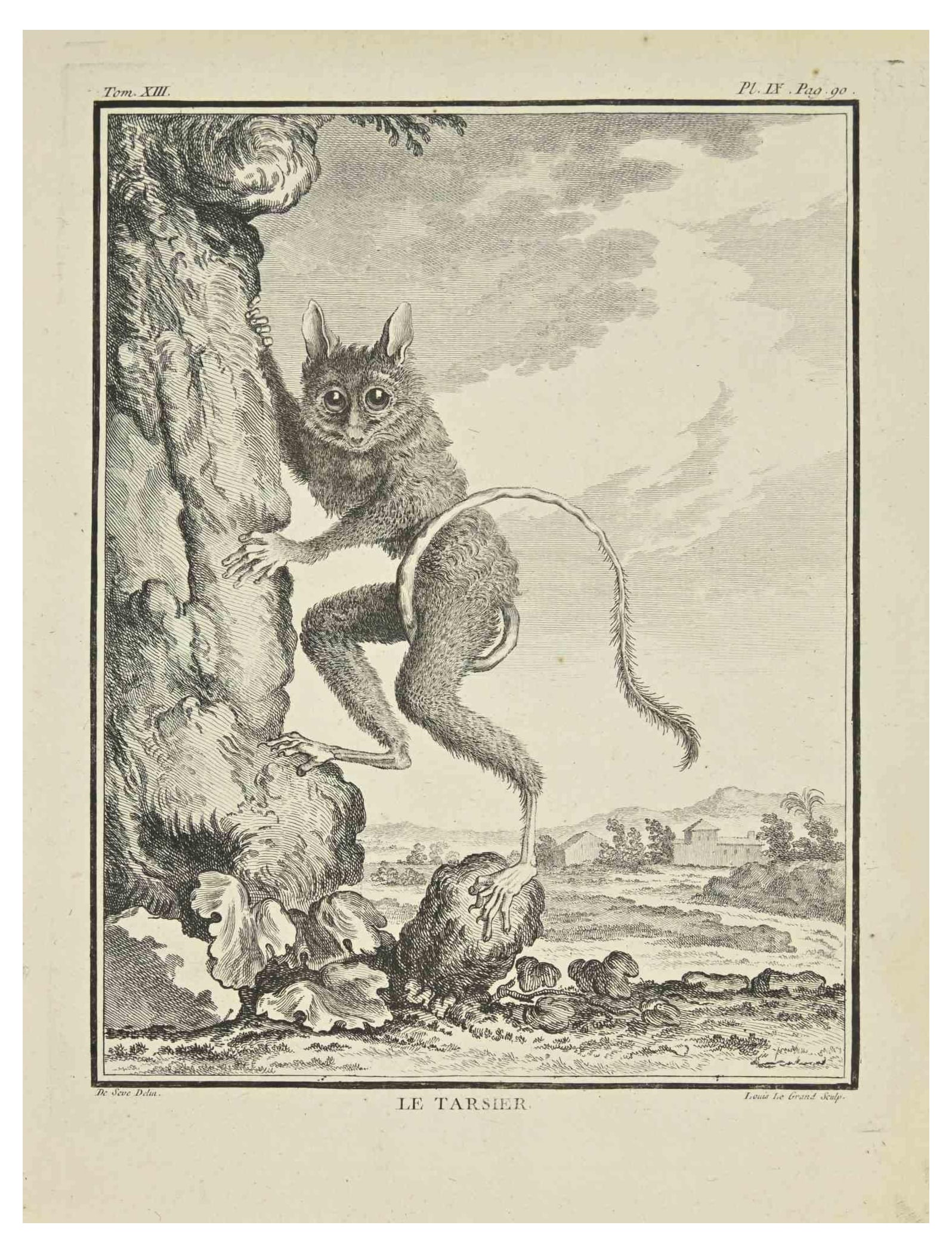 Louis Legrand, Le Tarsier, Etching, 1771 (1 of 2)