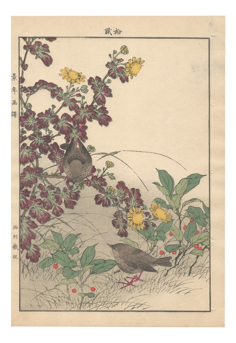 Imao Keinen, from Keinen Kacho Gafu, 1892, Print: Imao Keinen (今尾 景年, 1845–1924) “Two Wrens among Chrysanthemums and Ardisia Crenata (Christmas Berries)” Colour woodblock print on mulberry paper, 1892 (Me