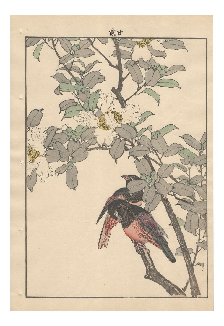 Imao Keinen, Keinen Kacho Gafu, 1892, Print: Imao Keinen (1845–1924) “Two Alpine Accentors among Camellia Sasanqua Flowers” Colour woodblock print on mulberry paper. From the album “Keinen Kachō Gafu” (Album of