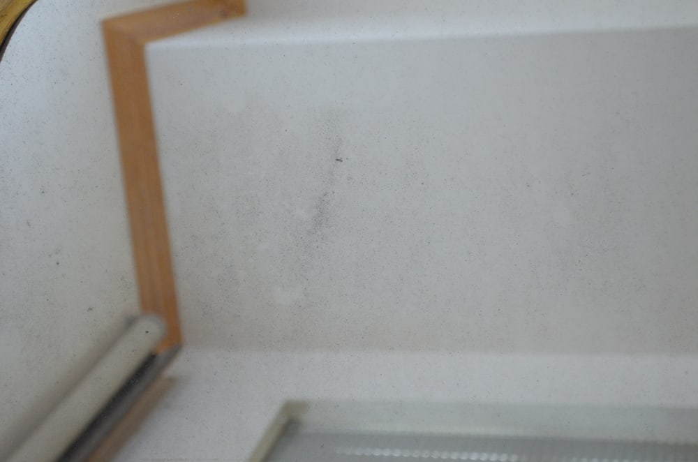 Gilded Pier Mirror, 1860s - 20