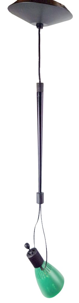 Nunk Spot Lamp by C. Forcolini for Nemo, 1993: Nunk pendant lamp spot by Carlo Forcolini for Nemo, 1993 greenRare pendant lamp which has a spot function. adjustableDimensions: height 80 cm, box foot 19 cm, hood 8.5 cm Country of Manufacture: