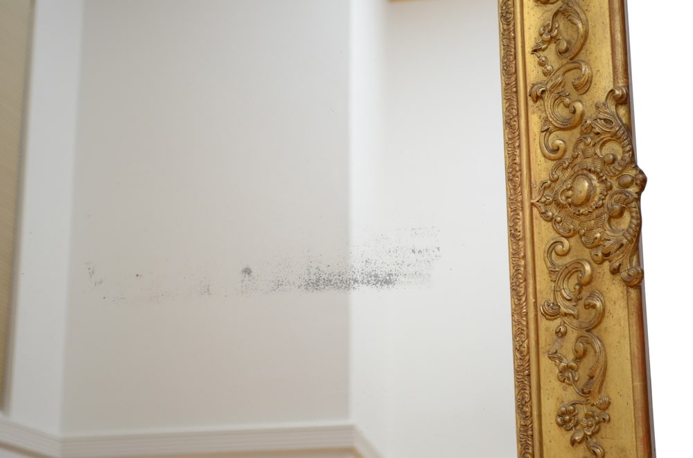 19th Century French Mirror - 9