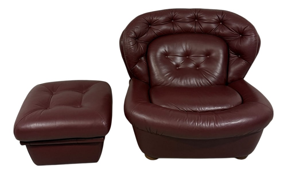 Set of Space Age Lounge Chair and Ottoman, 1970s - 2