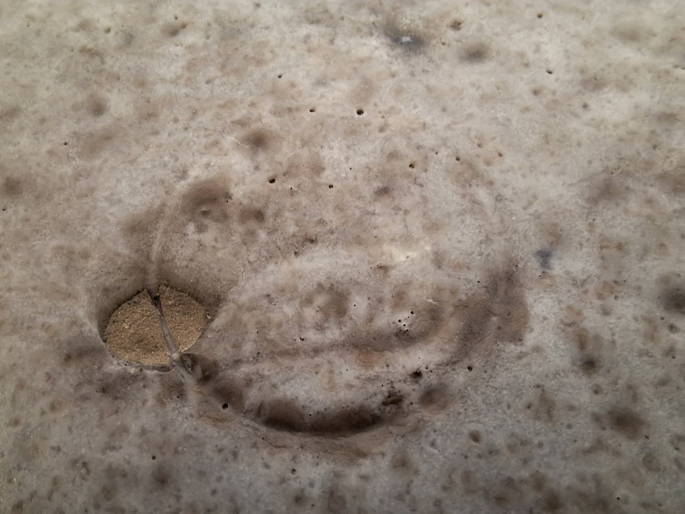 Vase by Mari Simmulson for Upsala-Ekeby, 1960s - 11