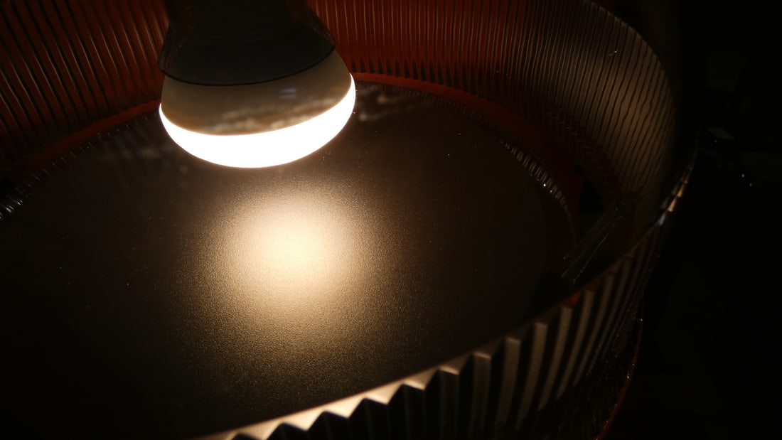 Wide Goblets Ceiling Lamp by G. Stefano for Qeeboo - 6