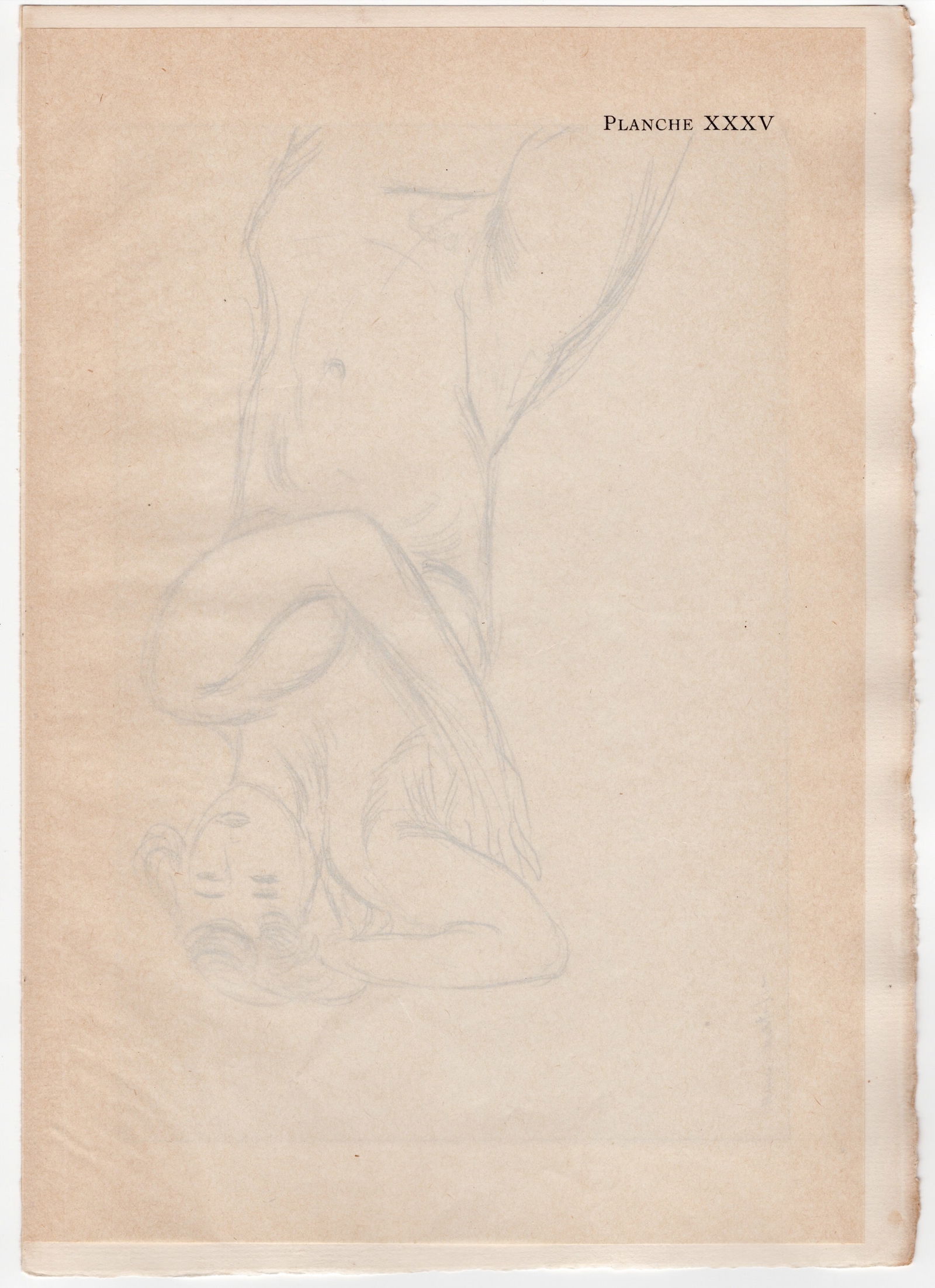 Henri Matisse, Lying Nude Girl, 1920, Lithograph - 7