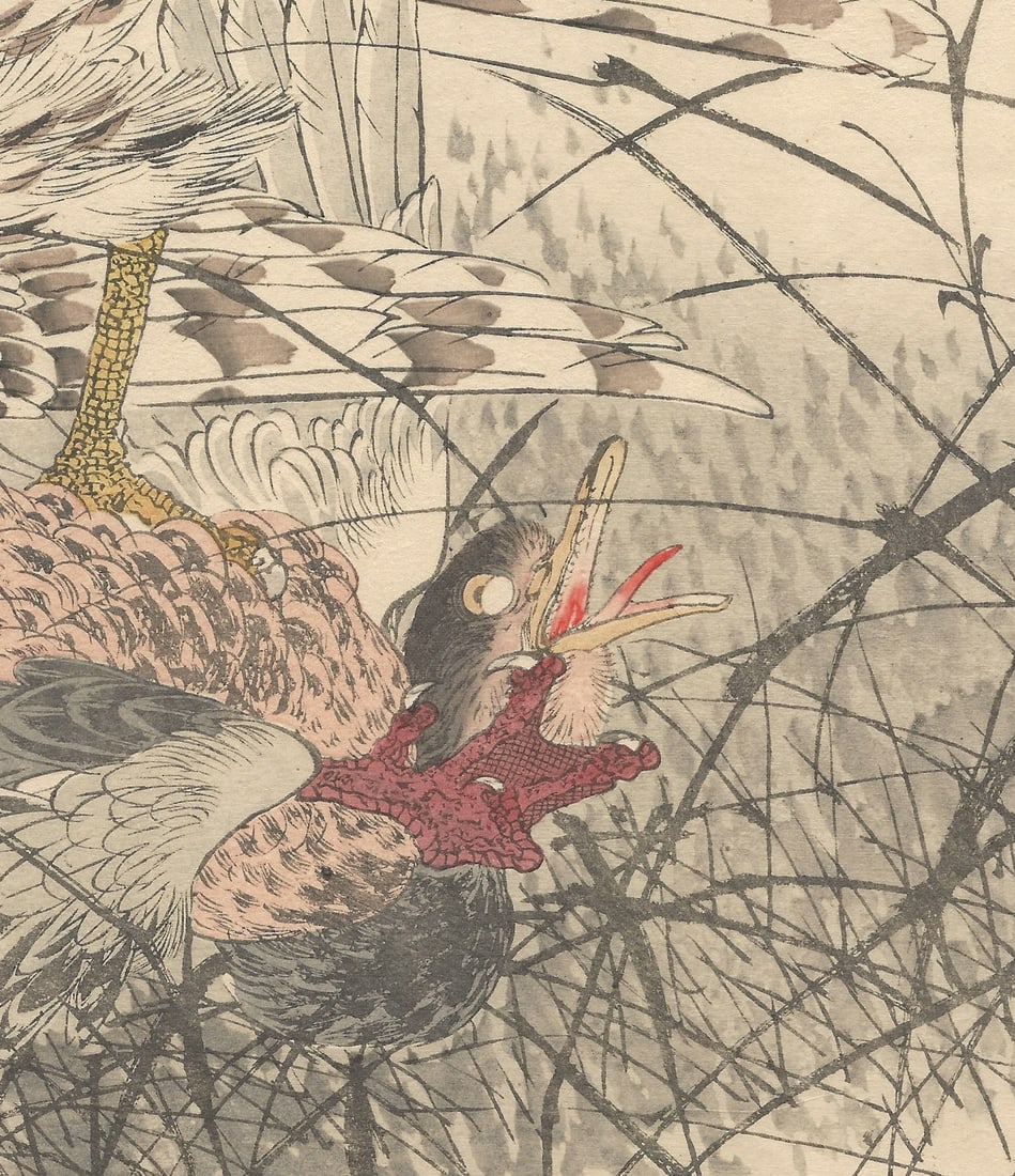 Imao Keinen, Eurasian Goshawk, 1892, Print - 11