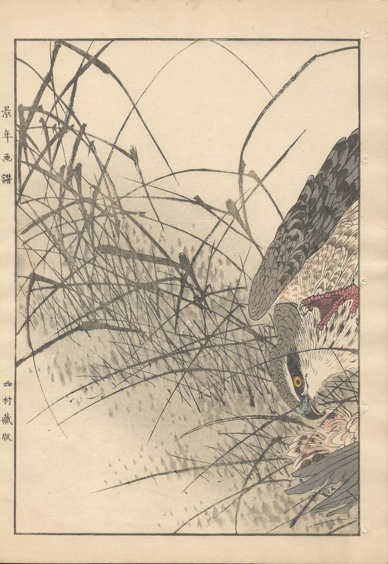 Imao Keinen, Eurasian Goshawk, 1892, Print - 2
