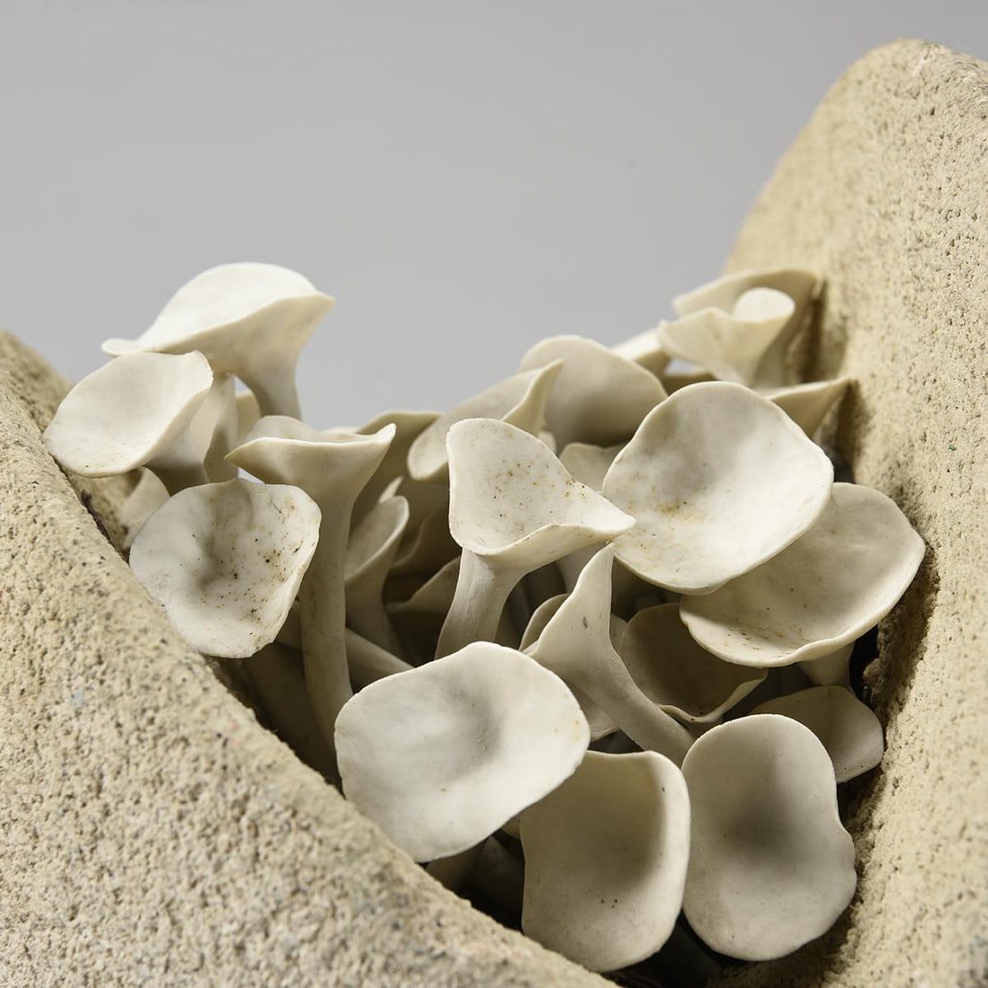 Stone and Porcelain Sculpture, France, 1970s - 7