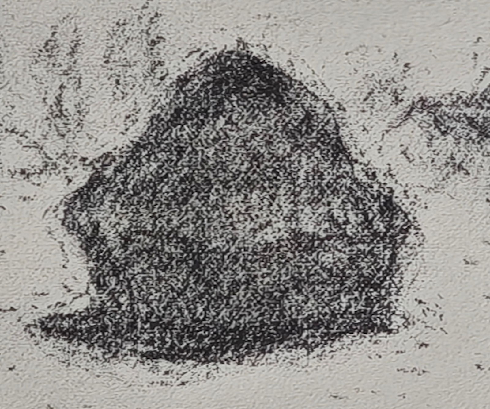 After Claude Monet, Haystacks, 1918, Lithograph - 4