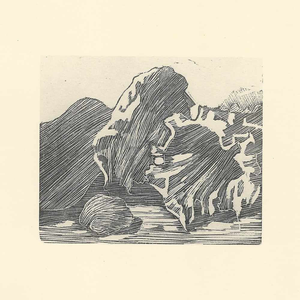 Giorgio Morandi, Shells, 1957, Lithograph - 3