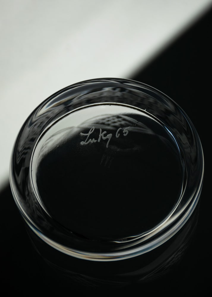 Whiskey Glasses for Ribes Studio Verres, Set of 6 - 12