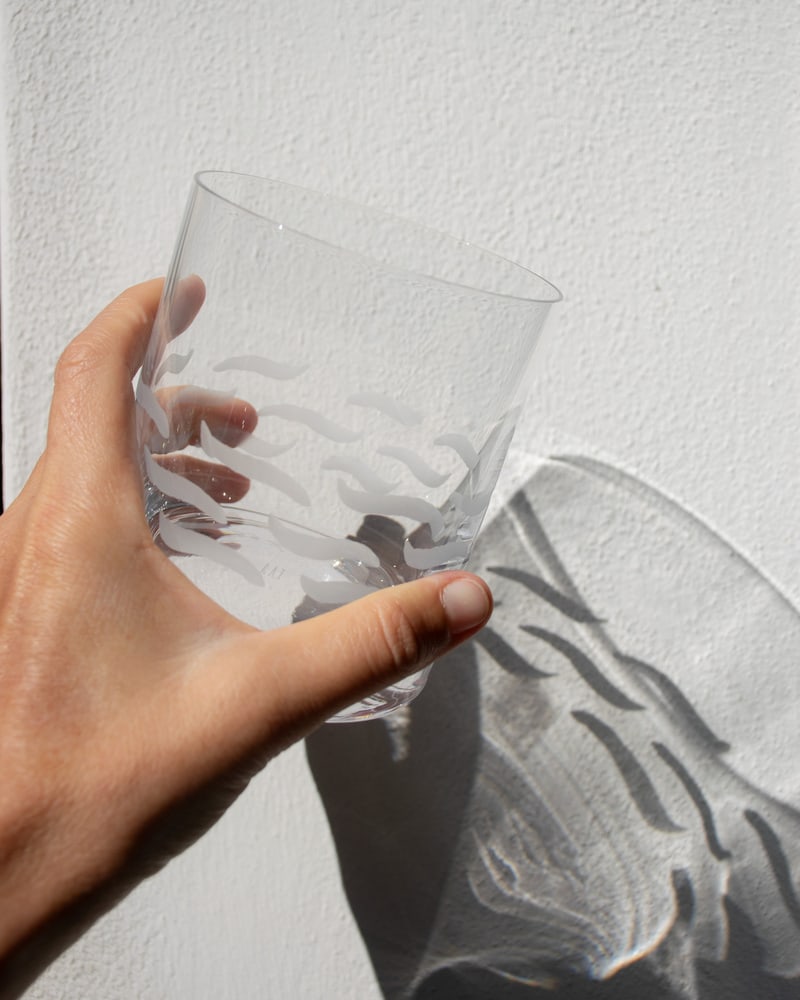 Whiskey Glasses for Ribes Studio Verres, Set of 6 - 8