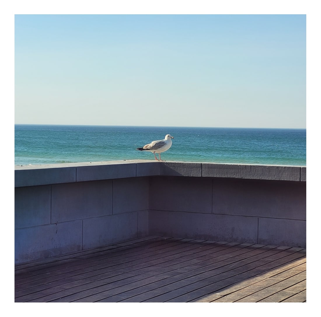 Justyna Napiorkowska, The Seaside, Photography: Justyna Napiorkowska, The Seaside, Photography, Limited Edition Country of Manufacture: Poland Design Period: from 2000 Production Period: 2010 to Present Detailed Condition: Excellent — This