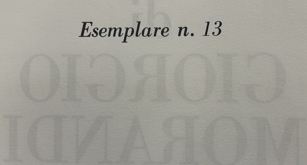 Giorgio Morandi, Cactus, 1973, Lithograph - 10