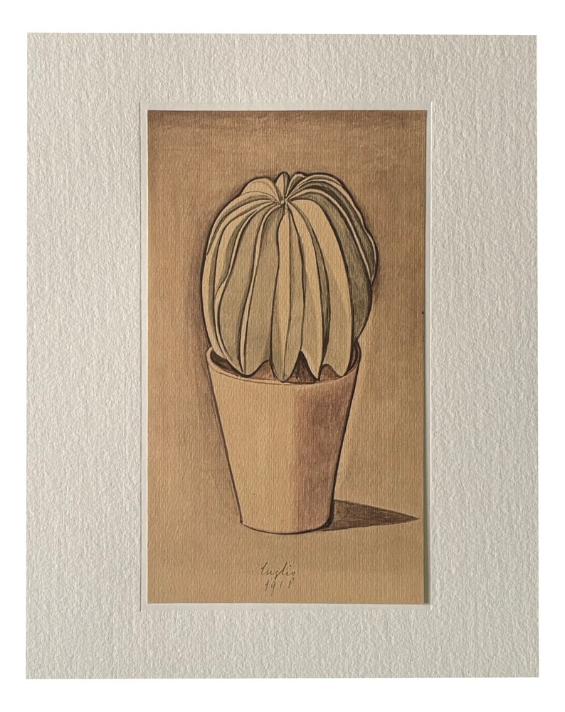 Giorgio Morandi, Cactus, 1973, Lithograph - 15