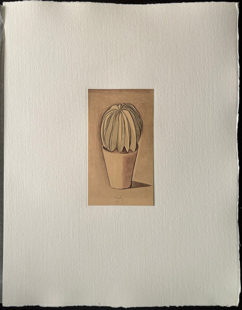 Giorgio Morandi, Cactus, 1973, Lithograph - 2