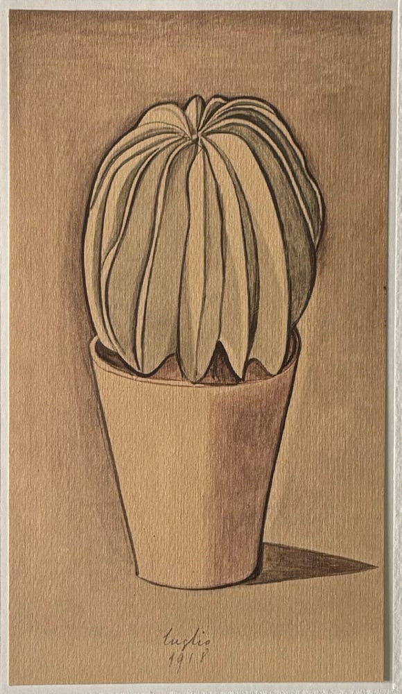 Giorgio Morandi, Cactus, 1973, Lithograph - 3