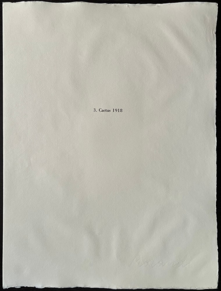 Giorgio Morandi, Cactus, 1973, Lithograph - 5