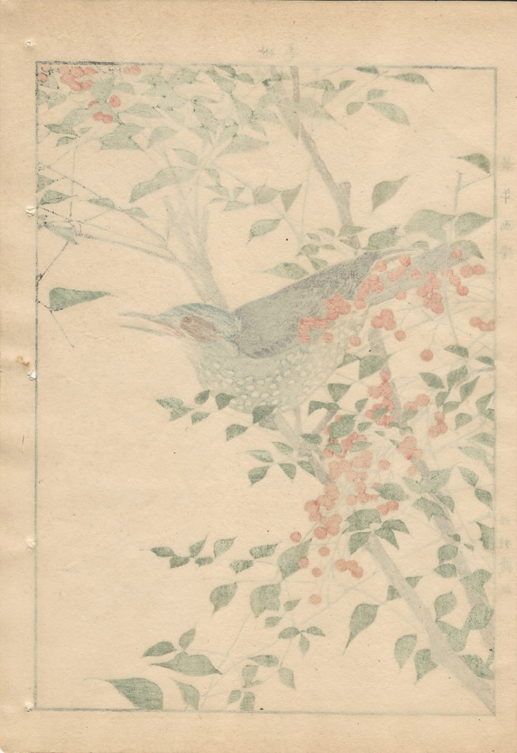 Imao Keinen, Brown-Eared Bulbul, 1892, Print - 10