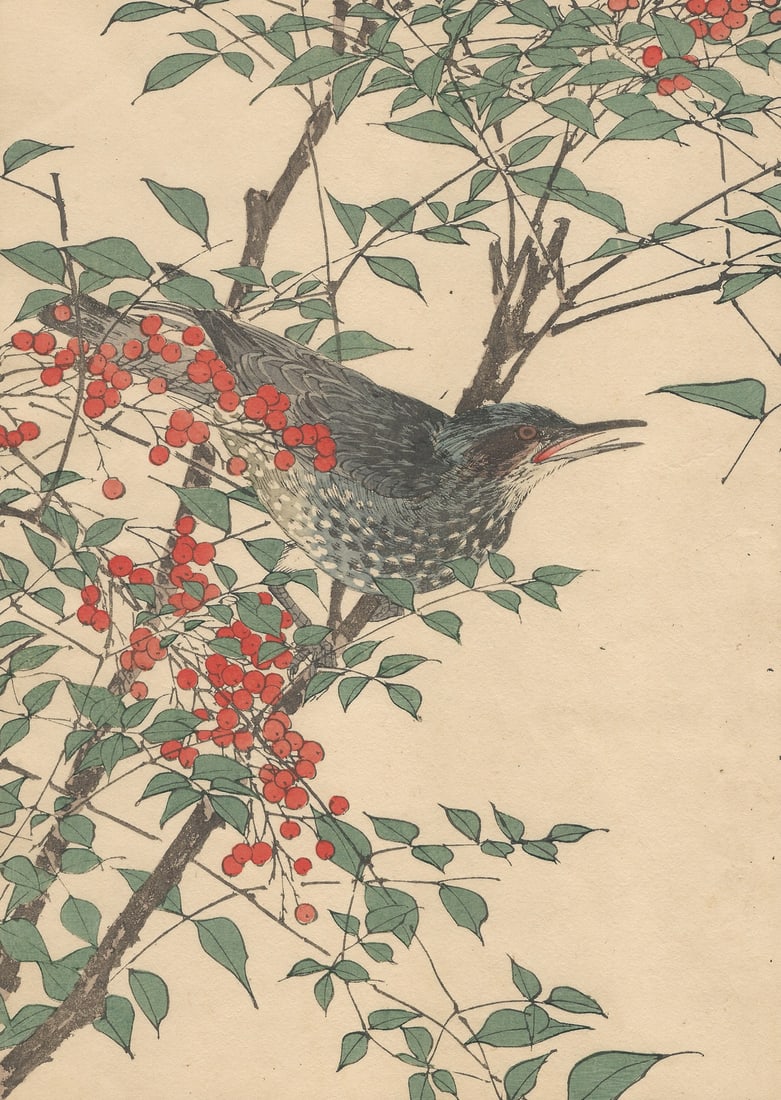 Imao Keinen, Brown-Eared Bulbul, 1892, Print - 2