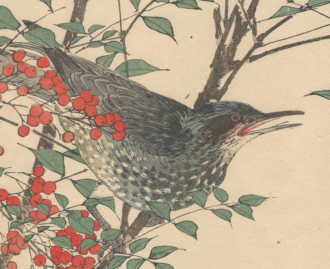 Imao Keinen, Brown-Eared Bulbul, 1892, Print - 4