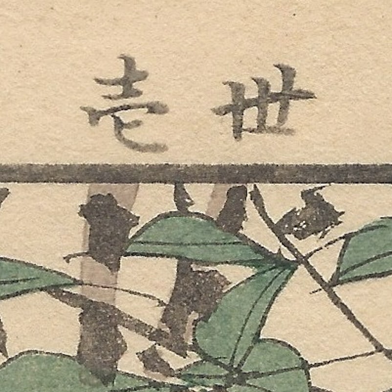 Imao Keinen, Brown-Eared Bulbul, 1892, Print - 7