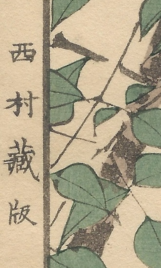 Imao Keinen, Brown-Eared Bulbul, 1892, Print - 9