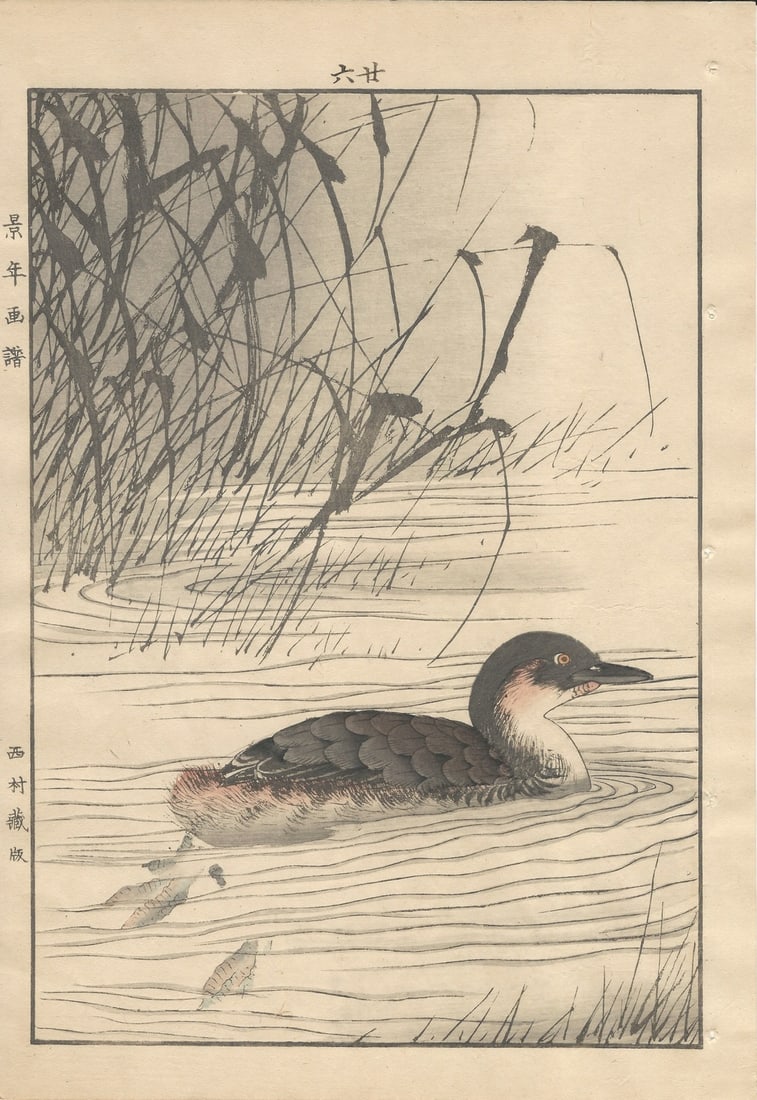 Imao Keinen, Little Grebe, 1892, Print - 12