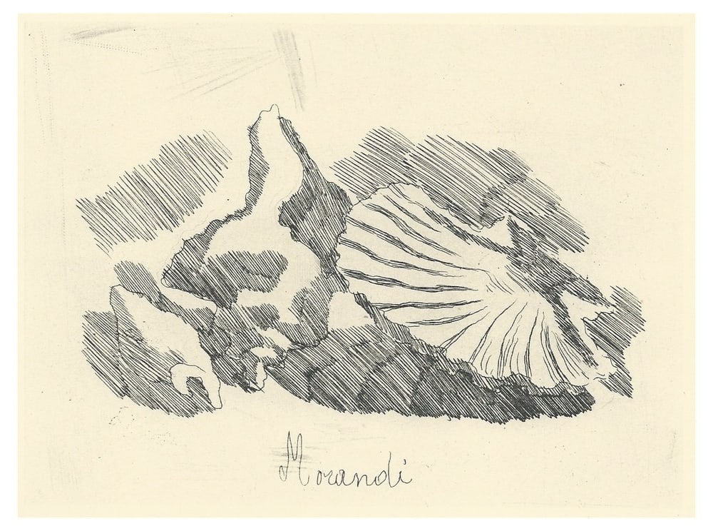 Giorgio Morandi, Shell Valve, 1957, Lithograph (1 of 4)