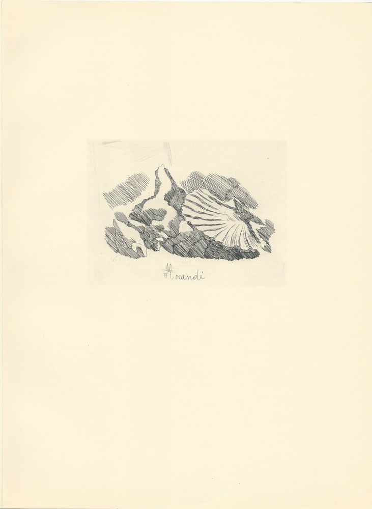 Giorgio Morandi, Shell Valve, 1957, Lithograph - 2