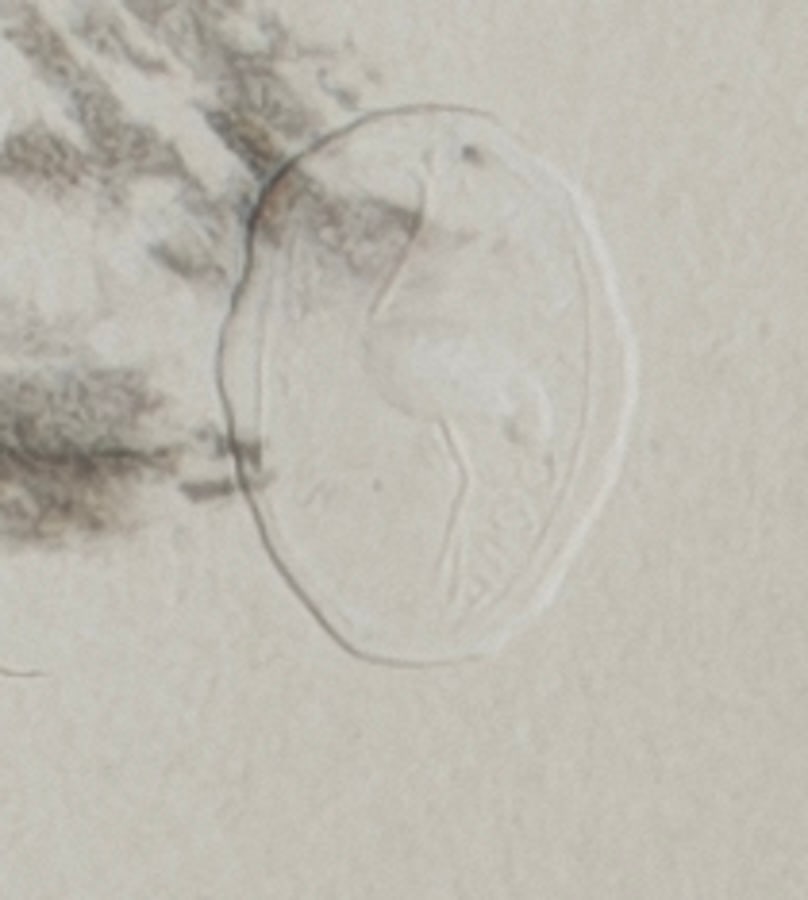 A. Giacometti, Portrait of Diego, 1963, Lithograph - 15