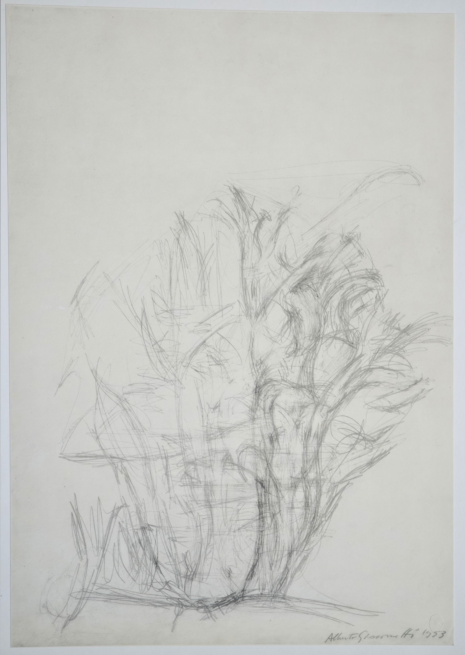 Alberto Giacometti, Alberi, 1963, Lithograph - 3