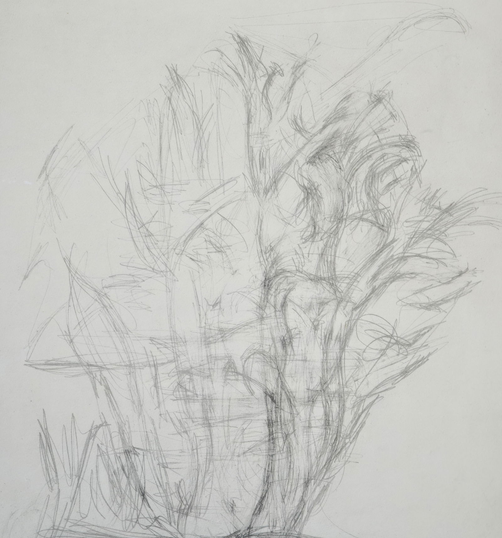 Alberto Giacometti, Alberi, 1963, Lithograph - 5