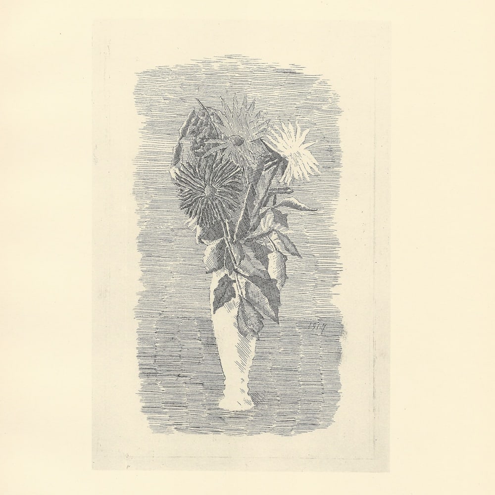 Giorgio Morandi, Flowers in a White Vase, 1957 (1 of 6)