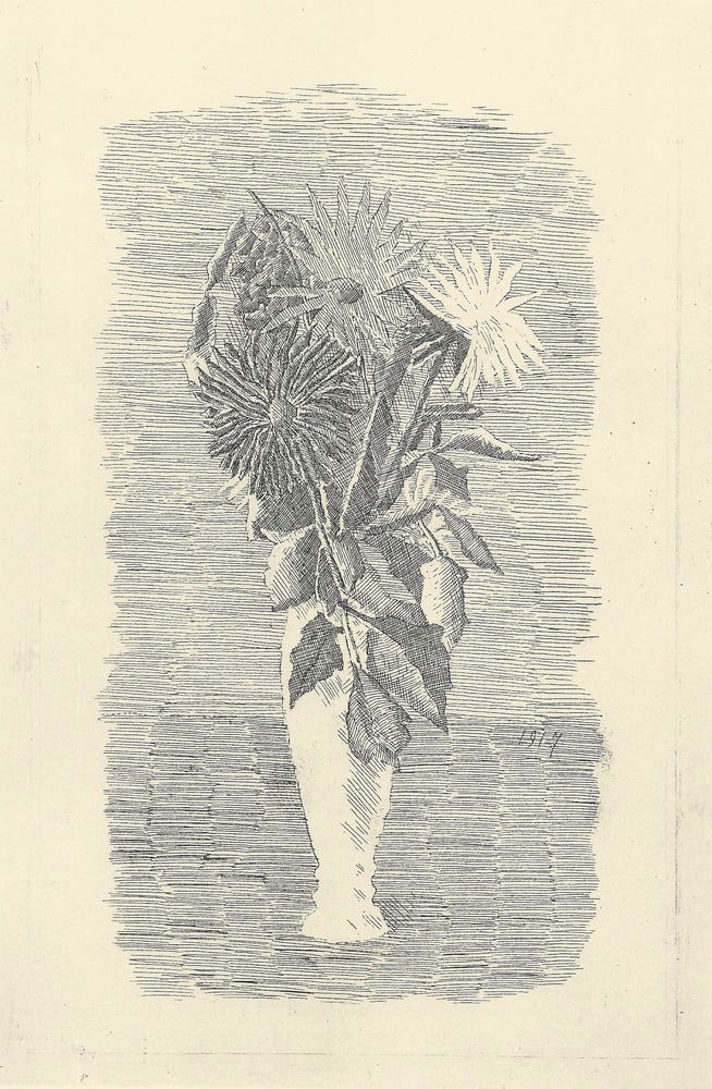 Giorgio Morandi, Flowers in a White Vase, 1957 - 4