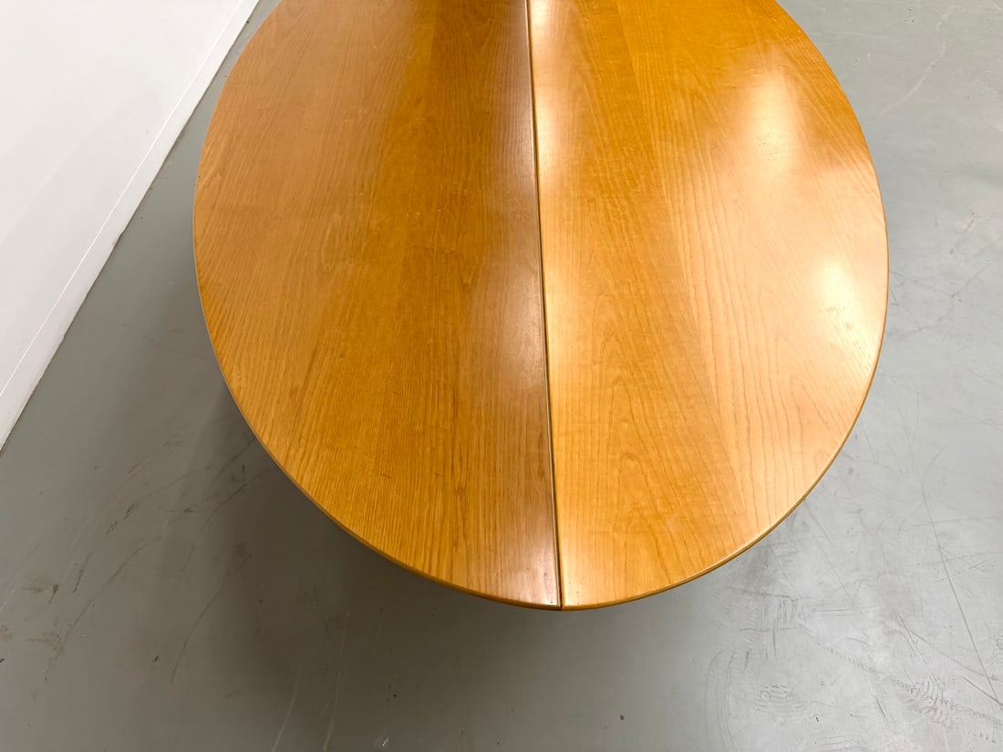 Dining Room Table by Giovanni Offredi, 1970s - 18