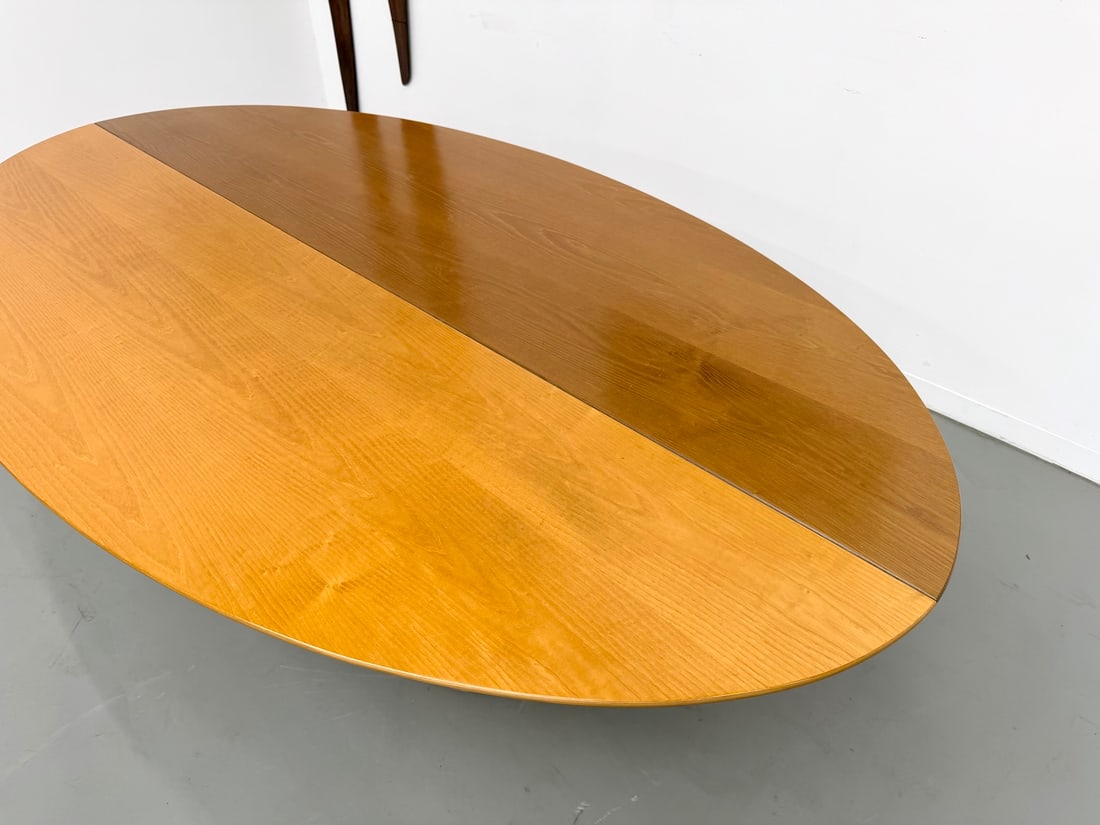 Dining Room Table by Giovanni Offredi, 1970s - 19